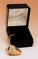 Pendulum, Rayonex Radionic